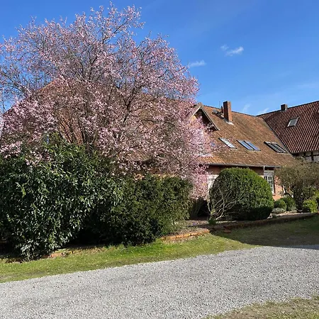 Ferienwohnung Allerstall Buchholz Aller Exterior photo
